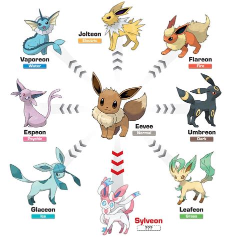 evolución de eevee.